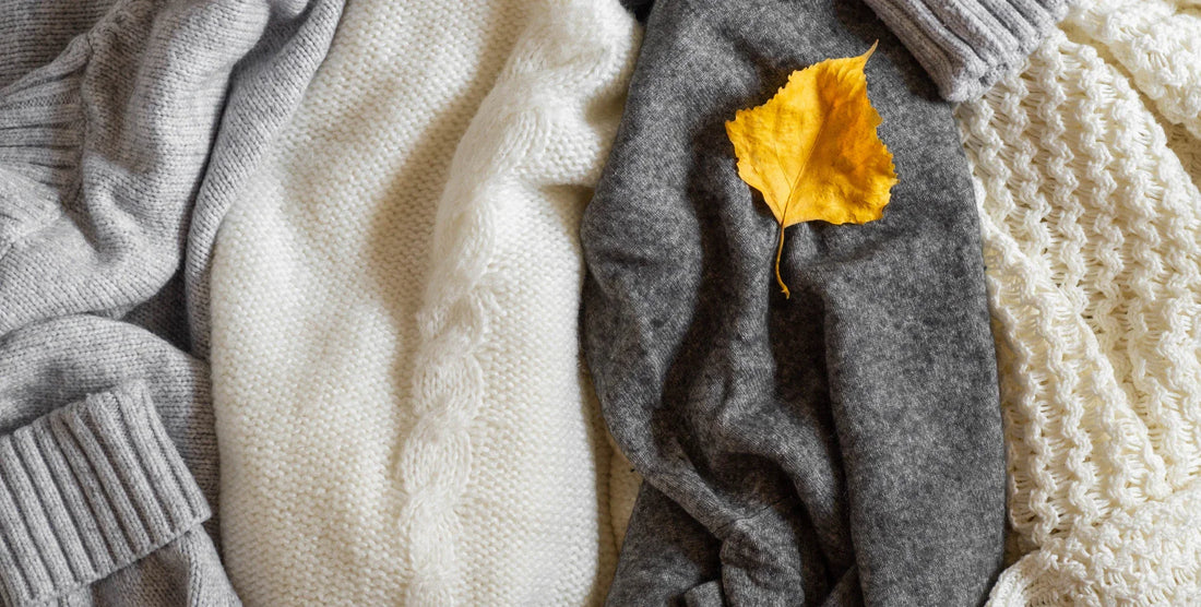 Best Alpaca Gift Ideas for Every Occasion (Australia 2026)