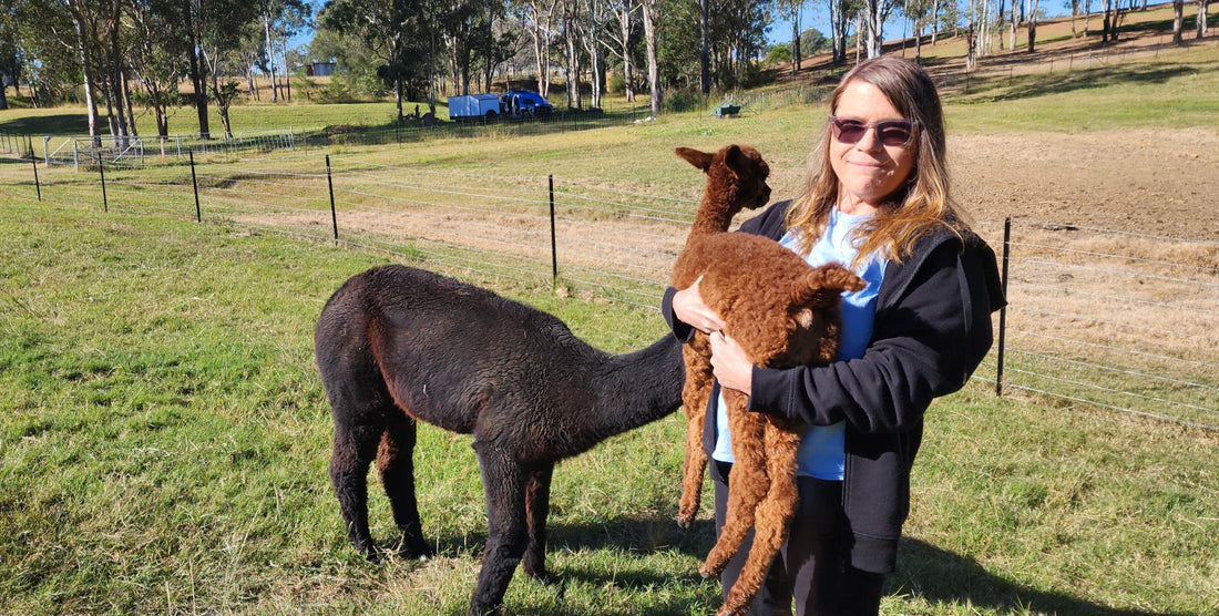 What Can You Make From Alpaca Fleece? (Complete Guide)