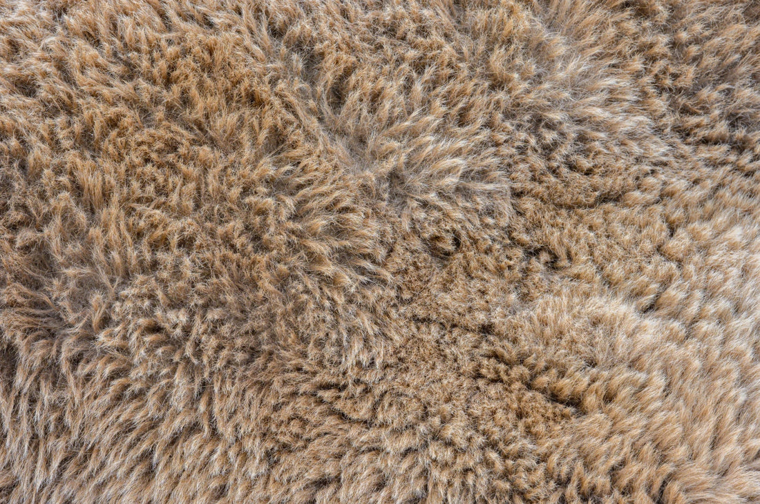 Alpaca Wool vs Merino Wool: Which Fibre Is Right for You?