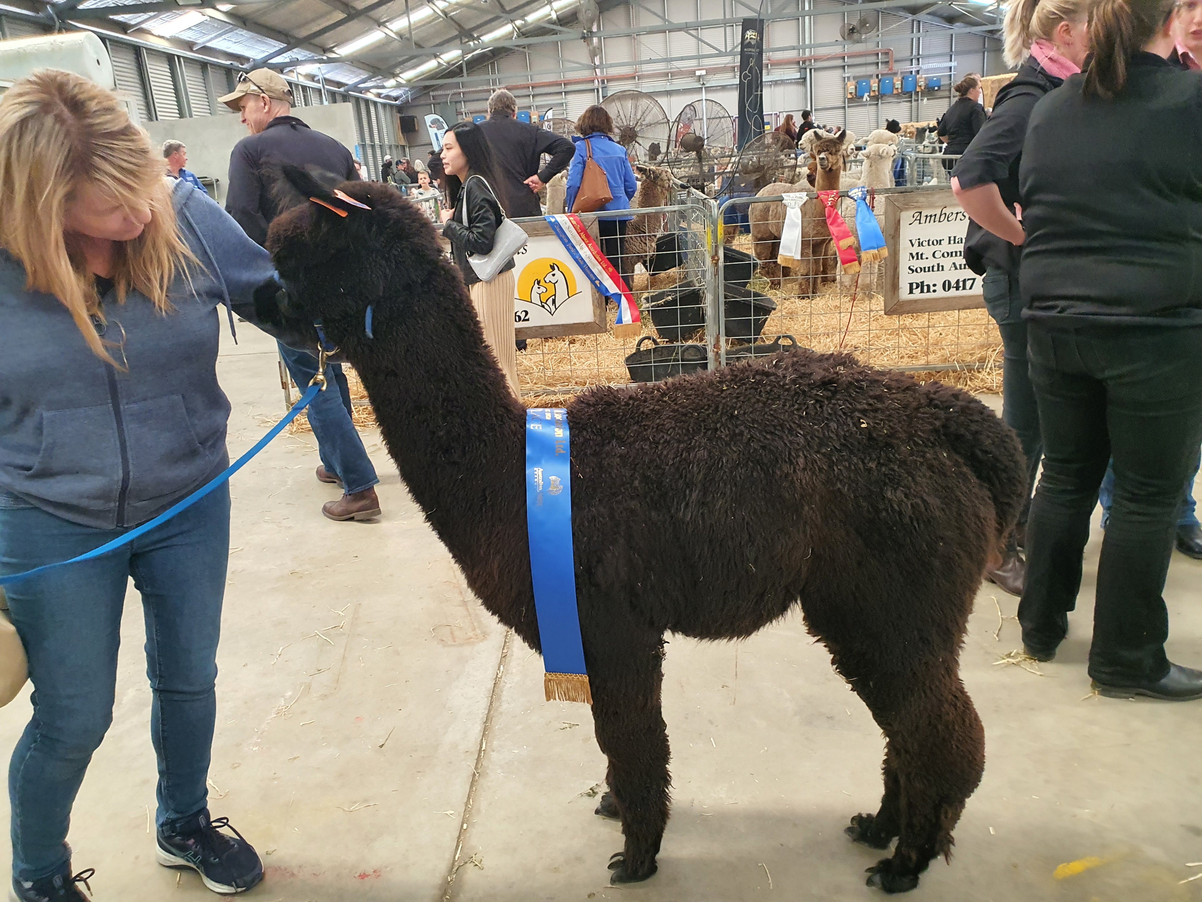 Ellen's Fleece
