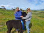 Ellen's Fleece