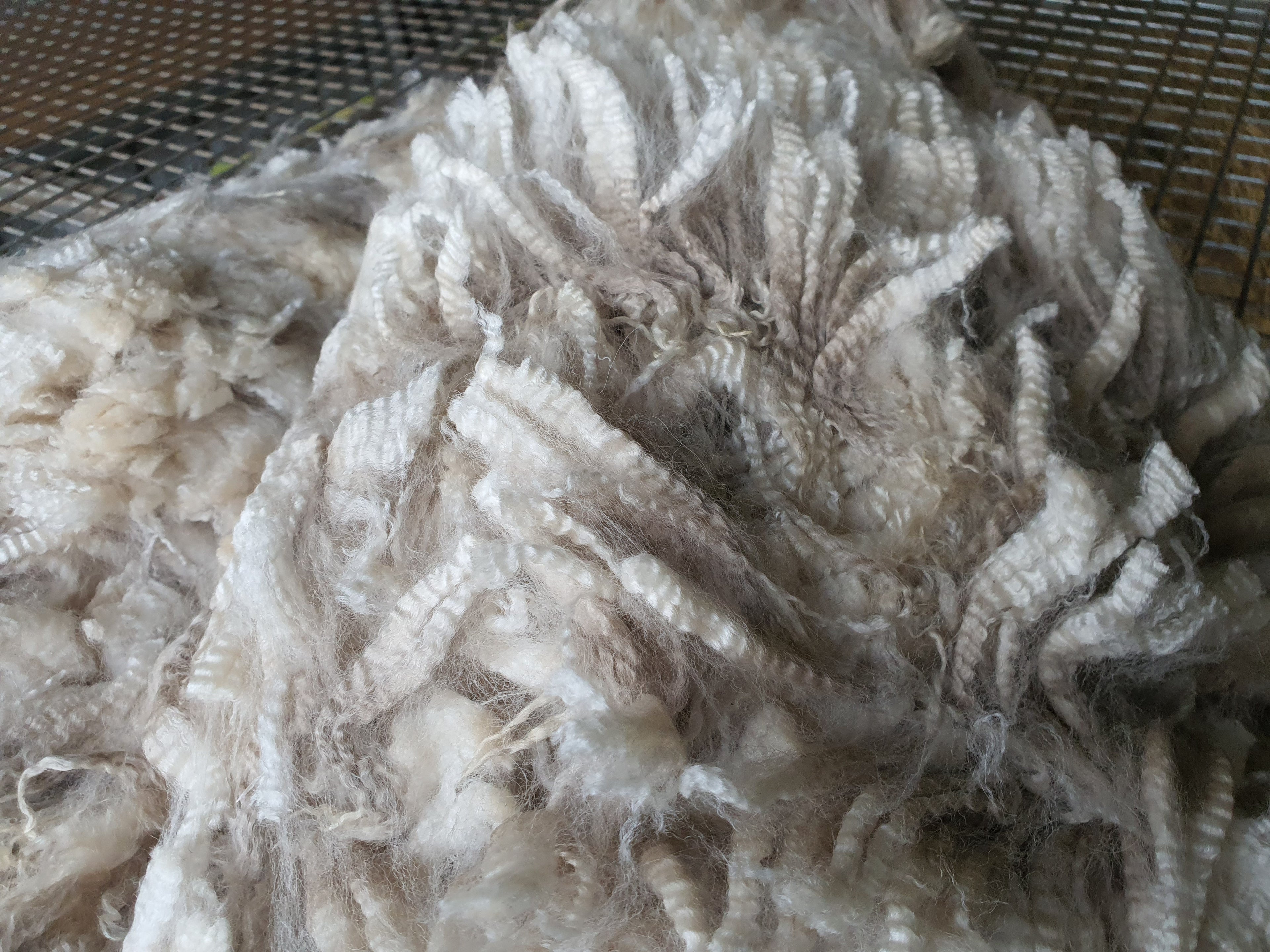 White Knight's Fleece