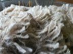 White Knight's Fleece