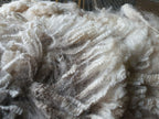 White Knight's Fleece