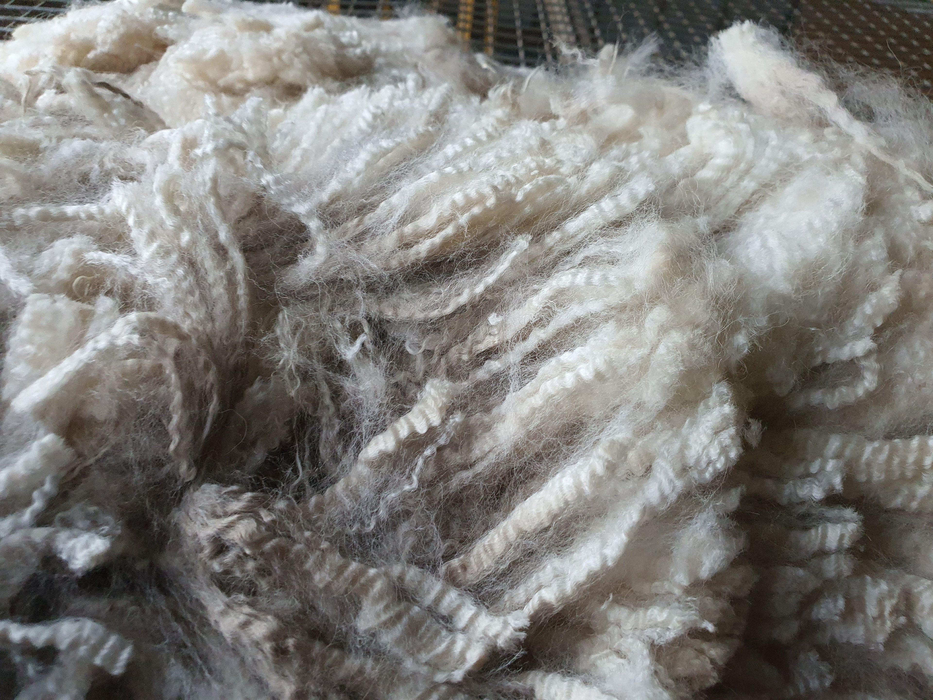 White Knight's Fleece