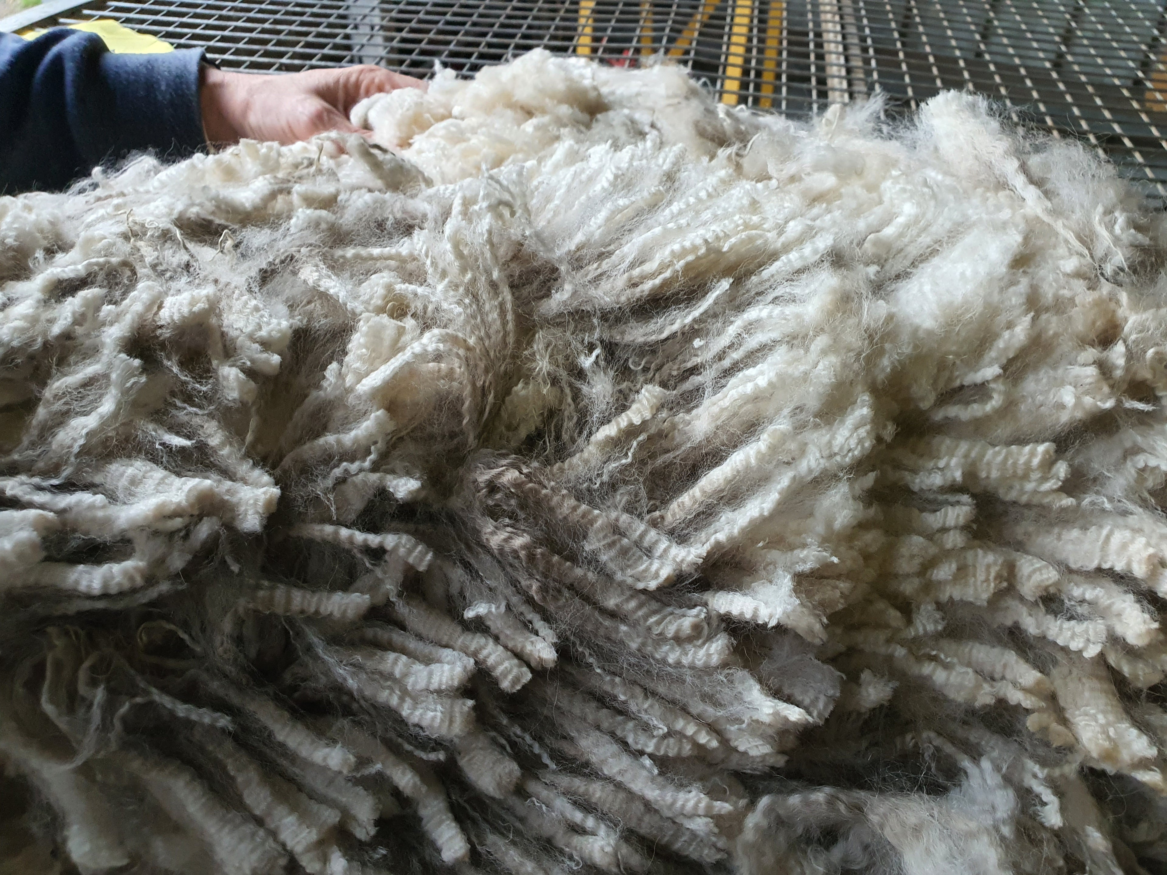 White Knight's Fleece