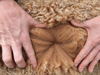 Royal Dragon's Fleece