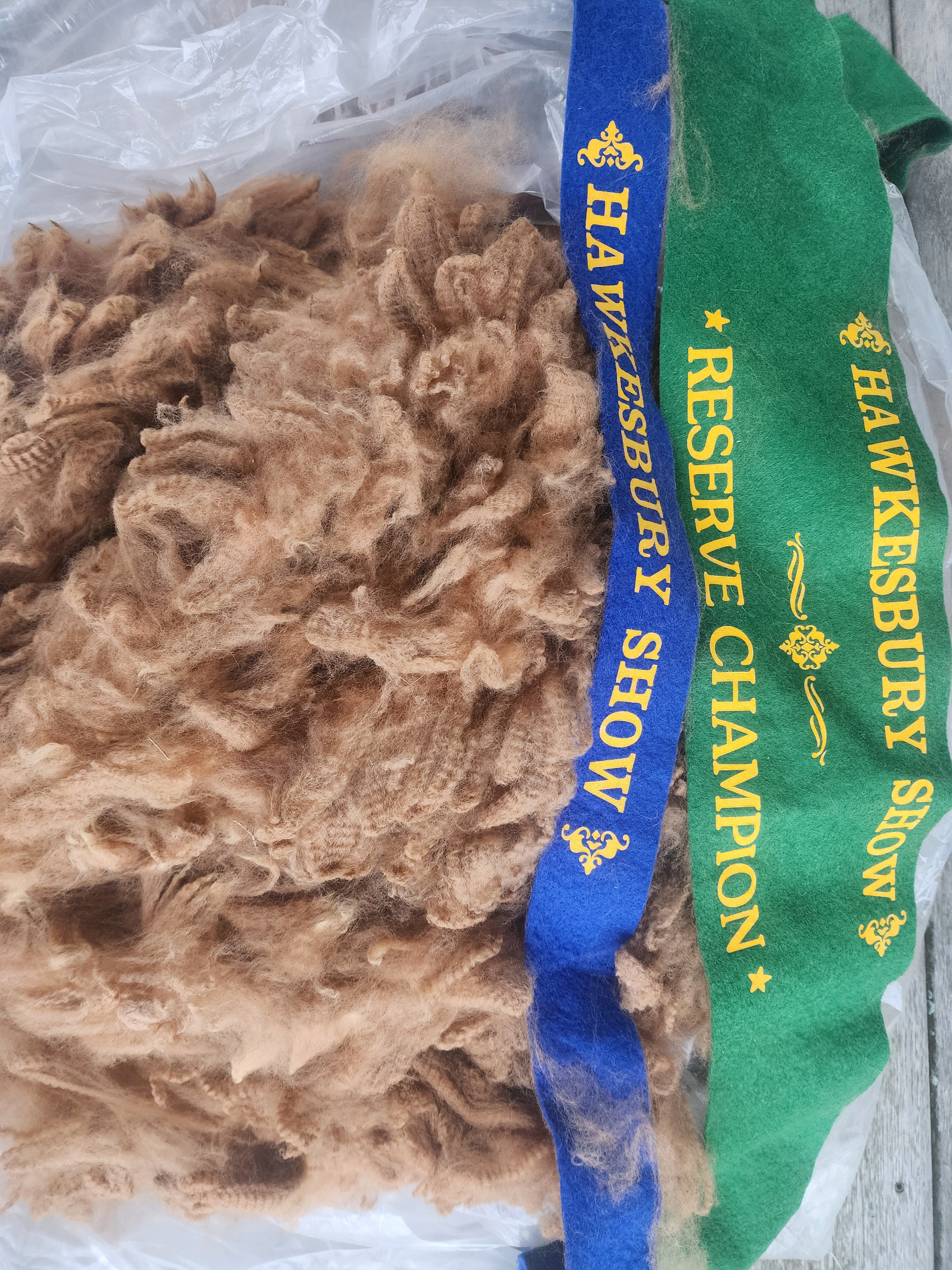 Royal Dragon's Fleece