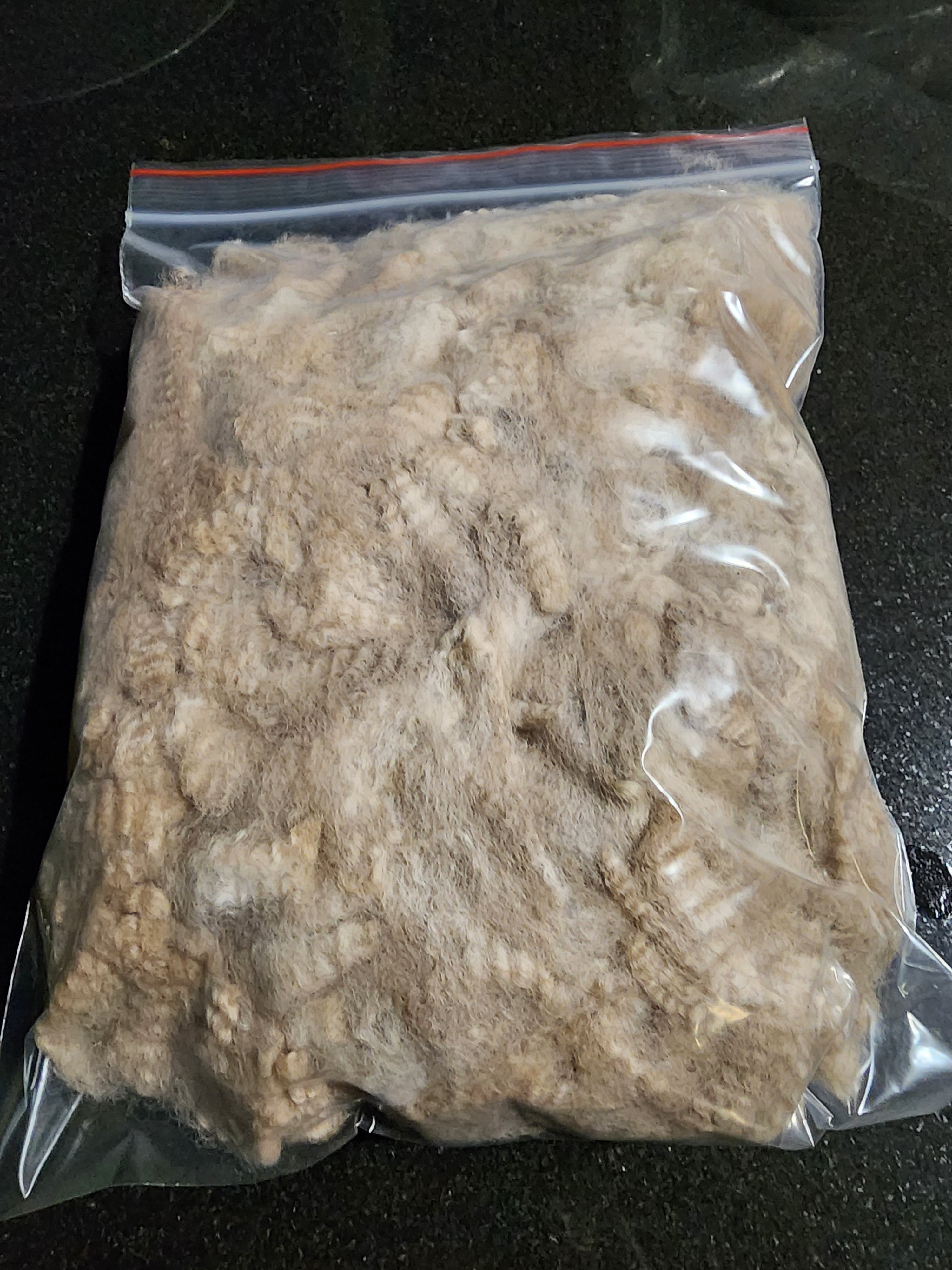Natural Fawn Alpaca Raw Fleece - 200g