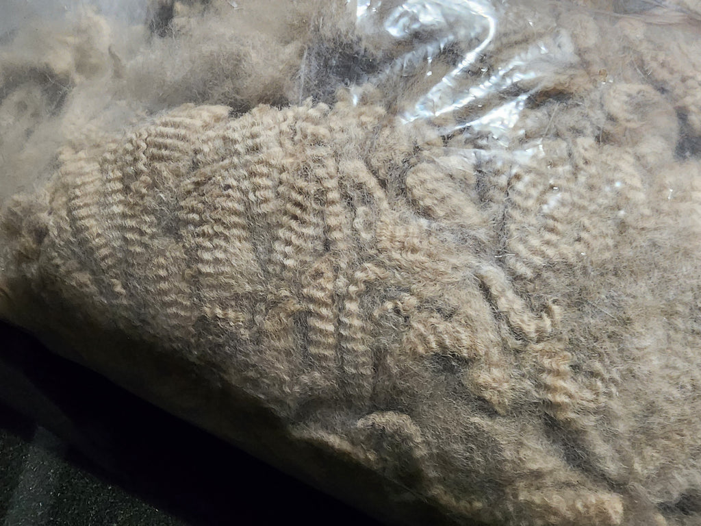 Natural Fawn Alpaca Raw Fleece - 200g