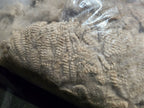 Natural Fawn Alpaca Raw Fleece - 200g