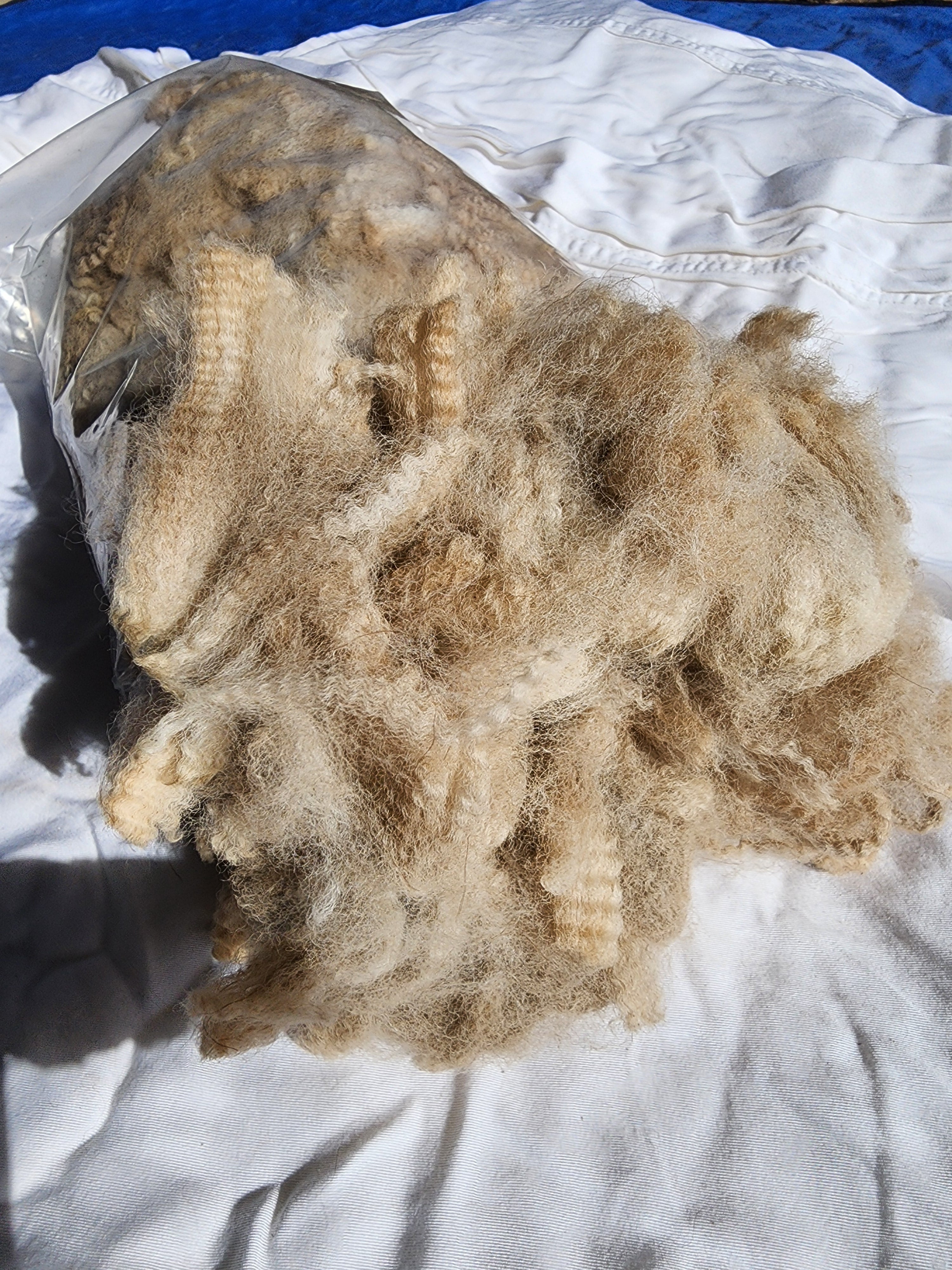 Natural Fawn Alpaca Raw Fleece - 200g