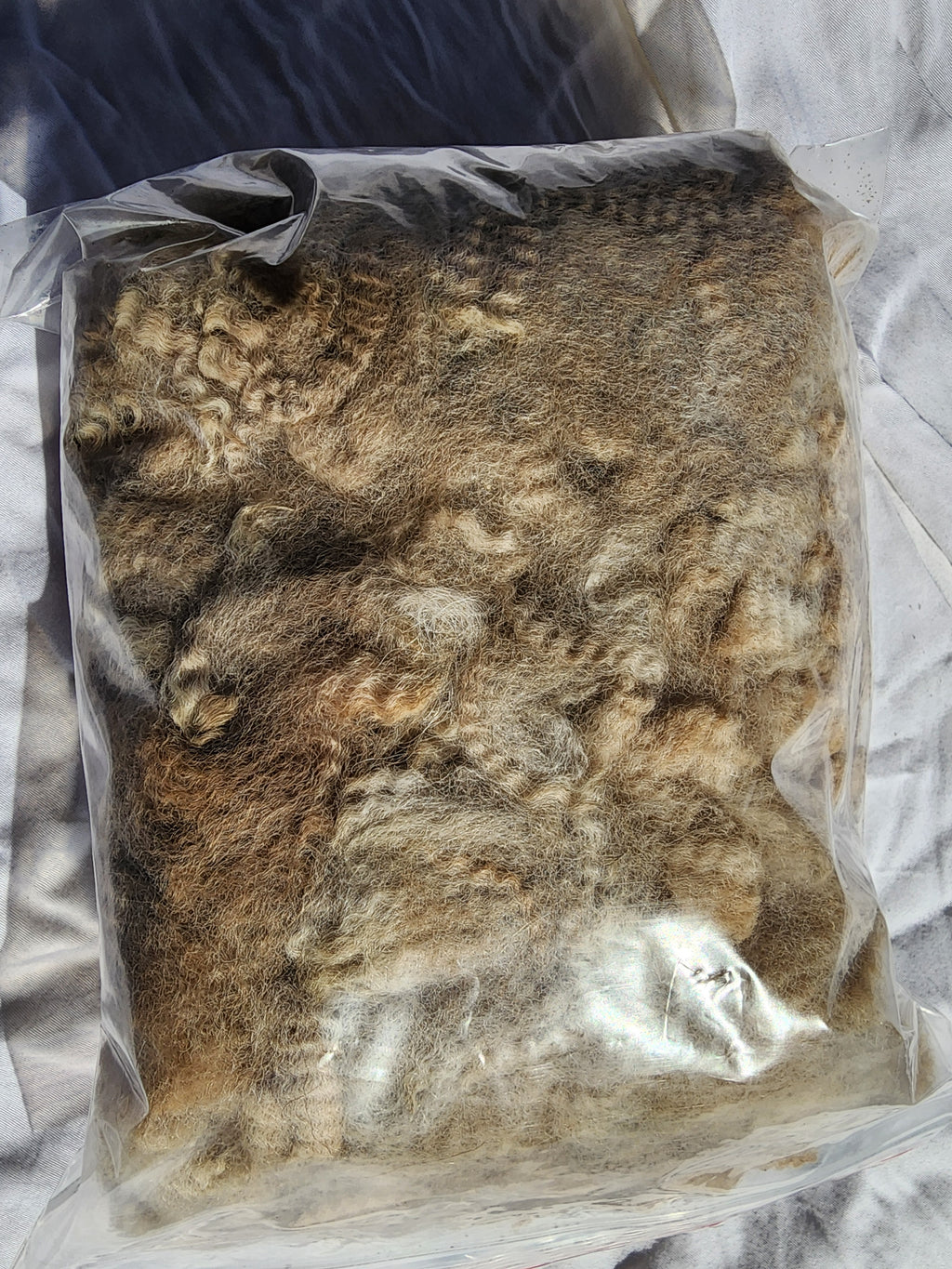 Natural Fawn Alpaca Raw Fleece - 200g