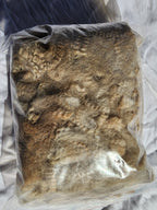 Natural Fawn Alpaca Raw Fleece - 200g