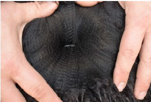 Ellen's Fleece