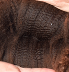 Simba Fleece