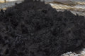 Wazir Fleece