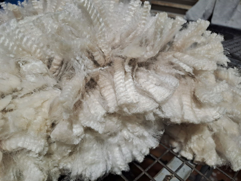 White Knight's Fleece