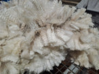 White Knight's Fleece