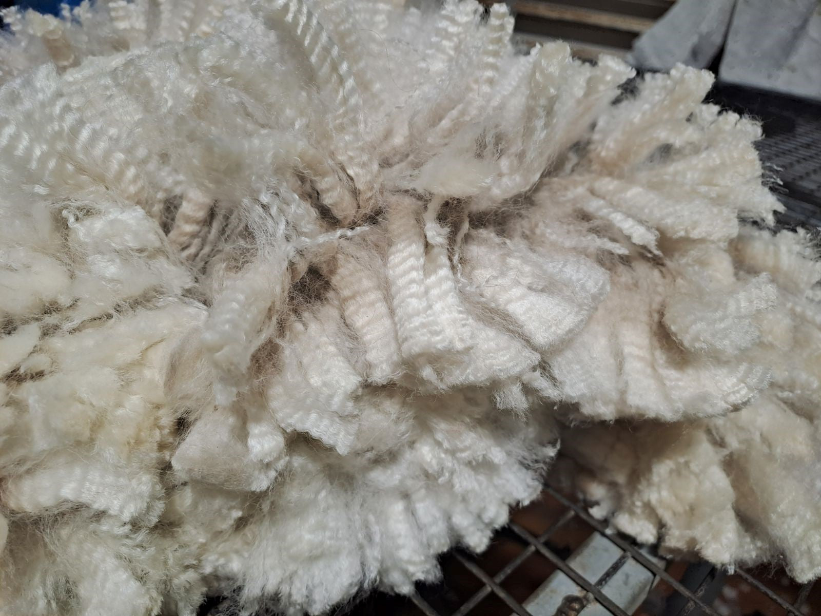 White Knight's Fleece
