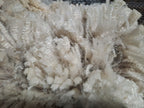 White Knight's Fleece