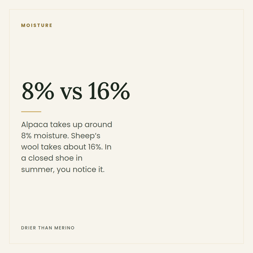 8% versus 16% — alpaca holds about half the moisture of sheep's wool
